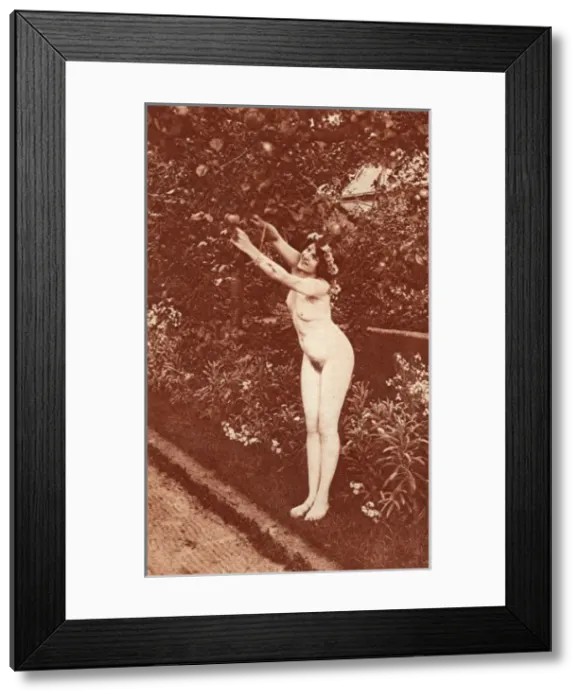 Framed Print : A Daughter of Eve Framed Print : A Daughter of Eve