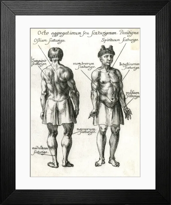 Framed Print : Chinese Pulse Therapy 1 Framed Print : Chinese Pulse Therapy 1
