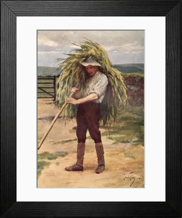 Framed Print : Green Fodder Framed Print : Green Fodder