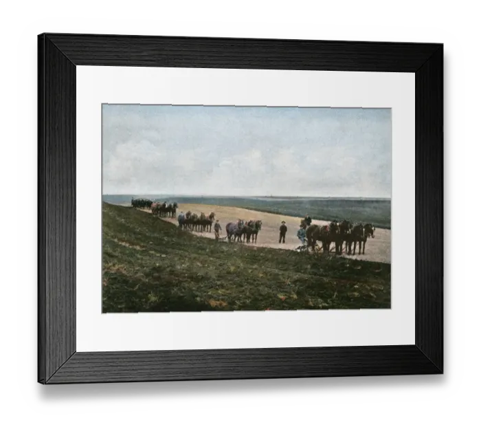 Framed Print : Ploughing, Canada Framed Print : Ploughing, Canada