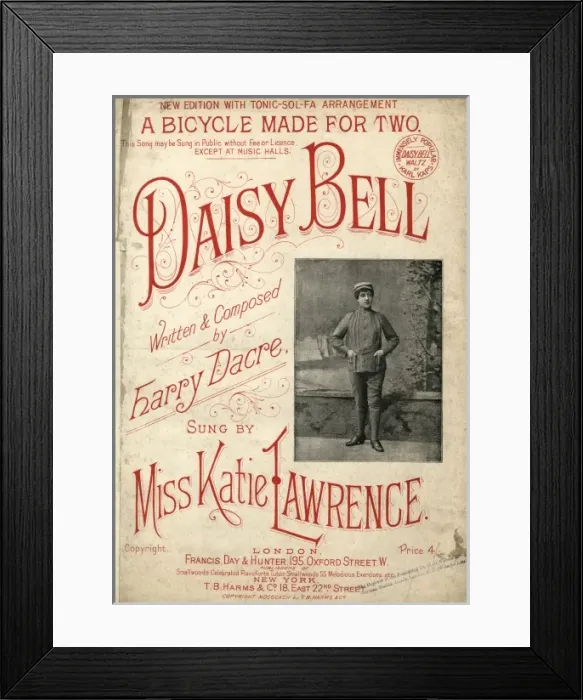 Framed Print : Katie Lawrence / Daisy Framed Print : Katie Lawrence / Daisy