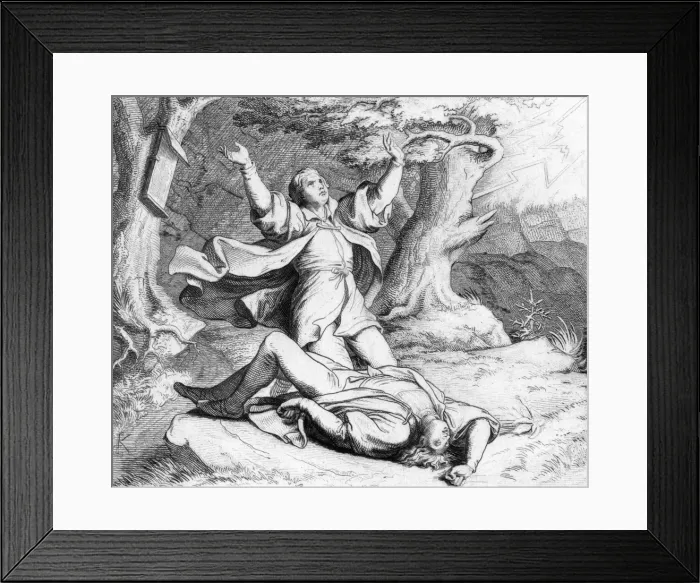 Framed Print : Luthers Friend Struck Framed Print : Luthers Friend Struck