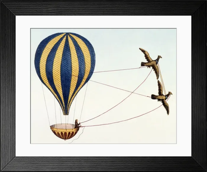 Framed Print : Fantasy Balloon Project Framed Print : Fantasy Balloon Project