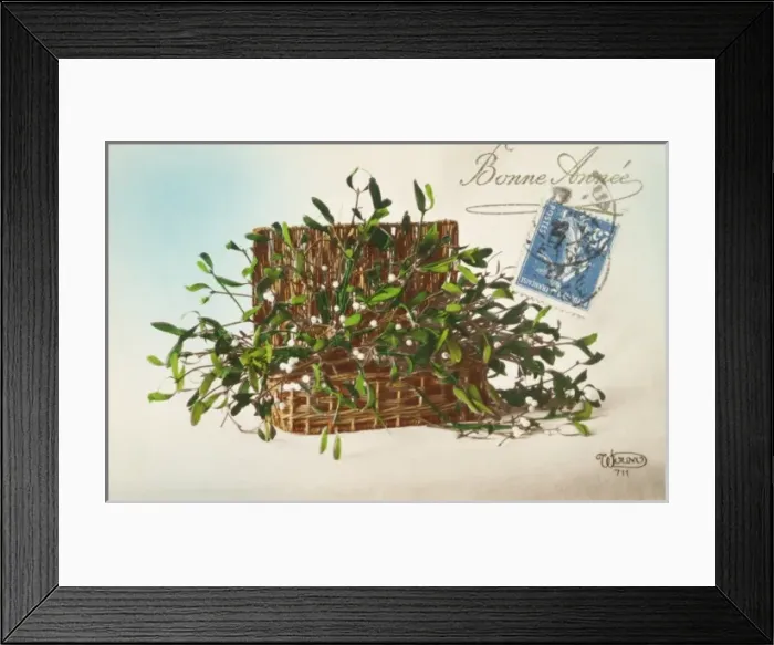 Framed Print : Hamper of Mistletoe Framed Print : Hamper of Mistletoe