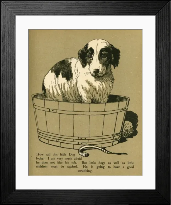 Framed Print : DOG IN TUB Framed Print : DOG IN TUB