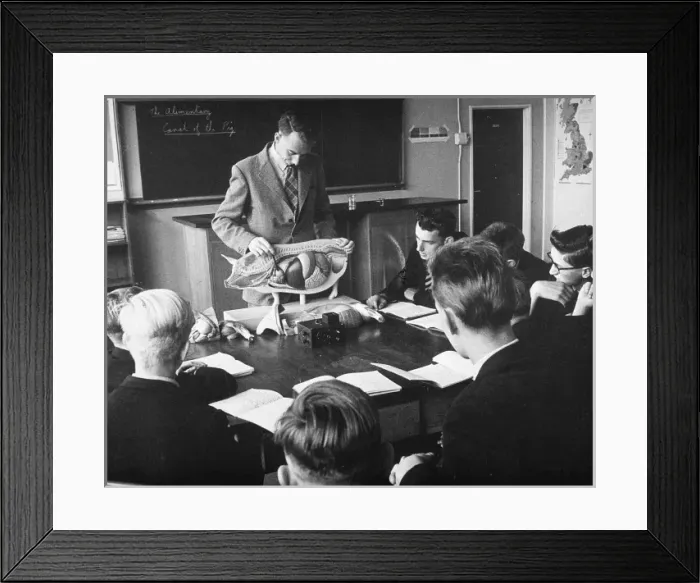 Framed Print : Veterinary Students Framed Print : Veterinary Students