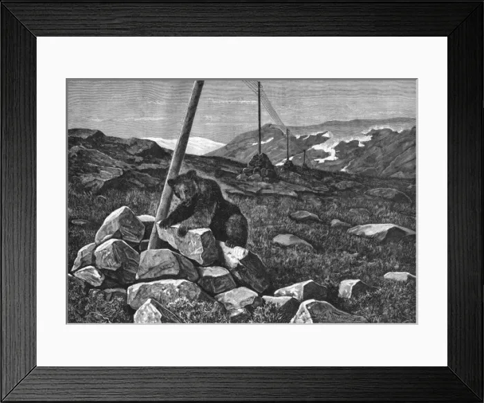 Framed Print : Telegraph Wires Framed Print : Telegraph Wires