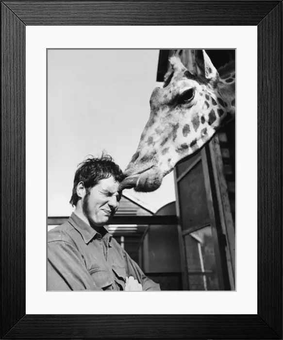 Framed Print : Delilah Kissing Keeper Framed Print : Delilah Kissing Keeper