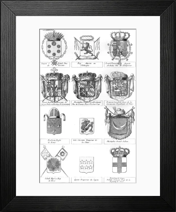 Framed Print : Various Coats of Arms Framed Print : Various Coats of Arms