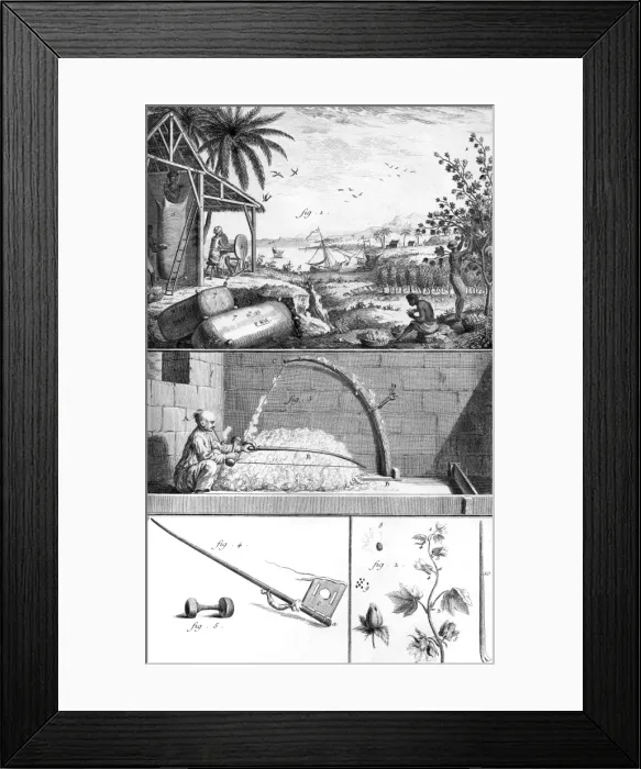 Framed Print : Cotton Processing 18th C Framed Print : Cotton Processing 18th C