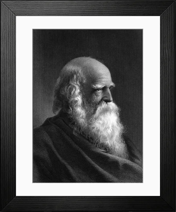 Framed Print : W C Bryant (Savery Photo Framed Print : W C Bryant (Savery Photo
