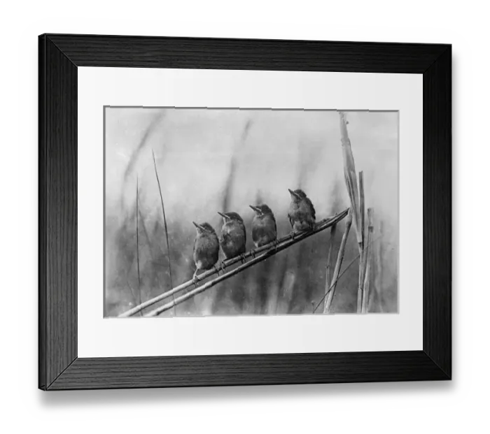 Framed Print : The Food Queue Framed Print : The Food Queue