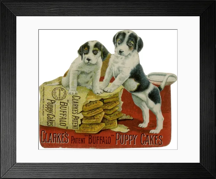 Framed Print : Buffalo Puppy Cakes Ad Framed Print : Buffalo Puppy Cakes Ad
