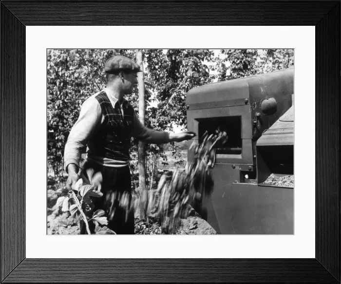 Framed Print : Testing Hop Condition Framed Print : Testing Hop Condition