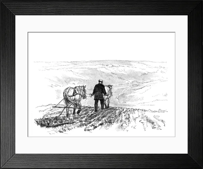 Framed Print : Tolstoy Harrowing Framed Print : Tolstoy Harrowing