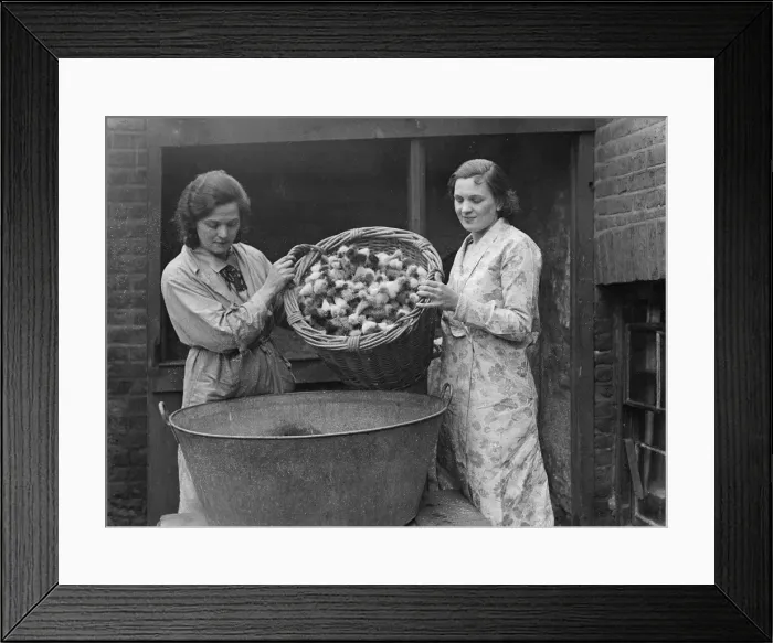 Framed Print : Making Shaving Brushes Framed Print : Making Shaving Brushes