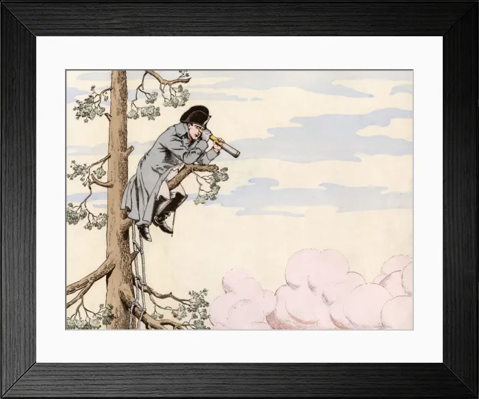 Framed Print : Napoleon up a Tree Framed Print : Napoleon up a Tree