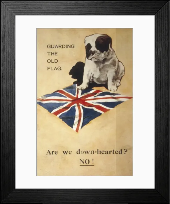 Framed Print : Ww1 Postcard Bulldog Framed Print : Ww1 Postcard Bulldog