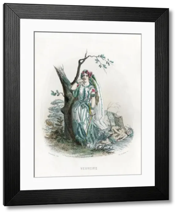 Framed Print : Grandville Verbena 1847 Framed Print : Grandville Verbena 1847