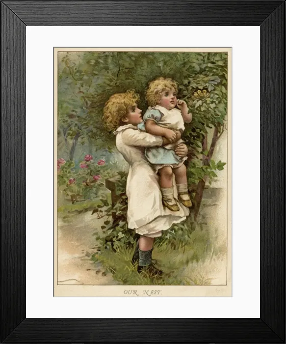 Framed Print : Nest of Birds Framed Print : Nest of Birds