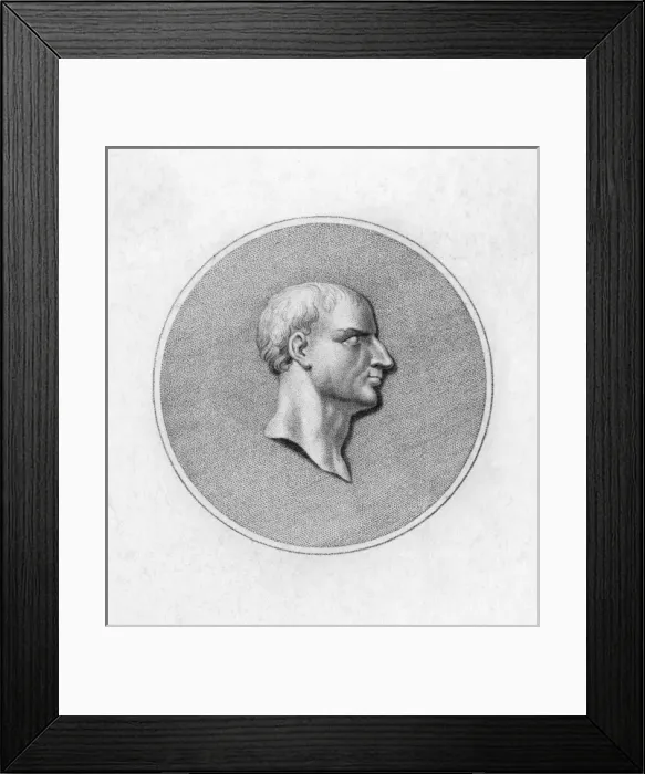 Framed Print : Gaius Marius Framed Print : Gaius Marius