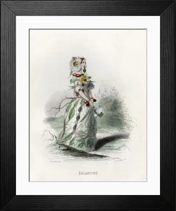 Framed Print : Grandville Eglantine Framed Print : Grandville Eglantine