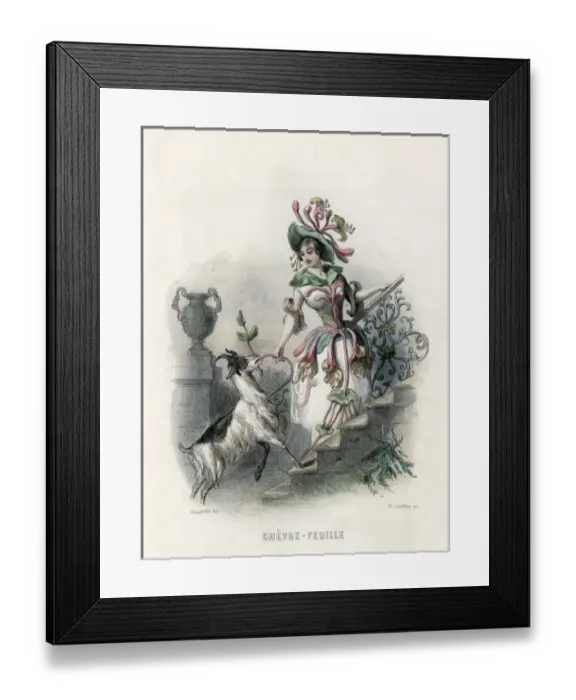 Framed Print : Grandville Honeysuckle Framed Print : Grandville Honeysuckle