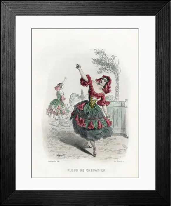 Framed Print : Grandville Pomegranate Framed Print : Grandville Pomegranate