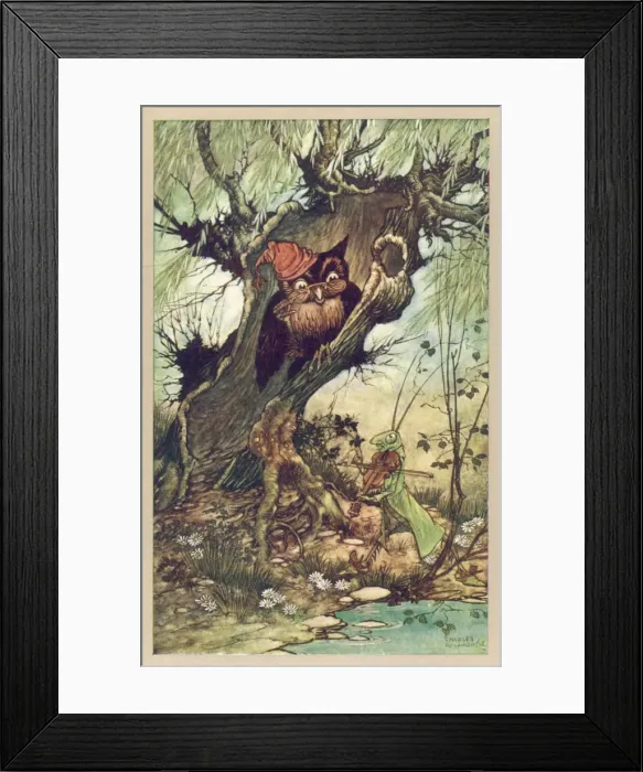 Framed Print : Owl and Grasshopper Framed Print : Owl and Grasshopper