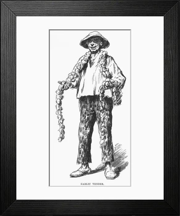 Framed Print : Garlic Vendor Spain 1882 Framed Print : Garlic Vendor Spain 1882
