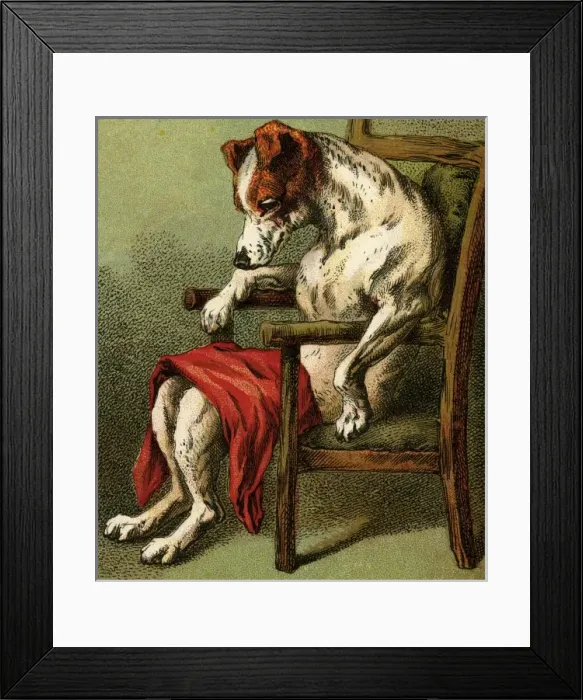 Framed Print : Mother Hubbard / Chair Framed Print : Mother Hubbard / Chair
