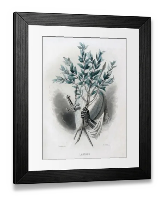 Framed Print : Grandville Laurel 1847 Framed Print : Grandville Laurel 1847