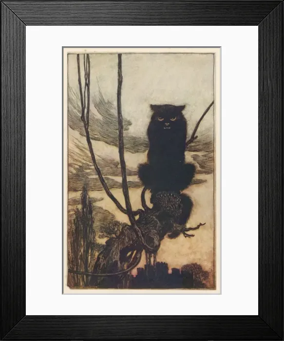 Framed Print : Jorinda as Owl (2) Framed Print : Jorinda as Owl (2)