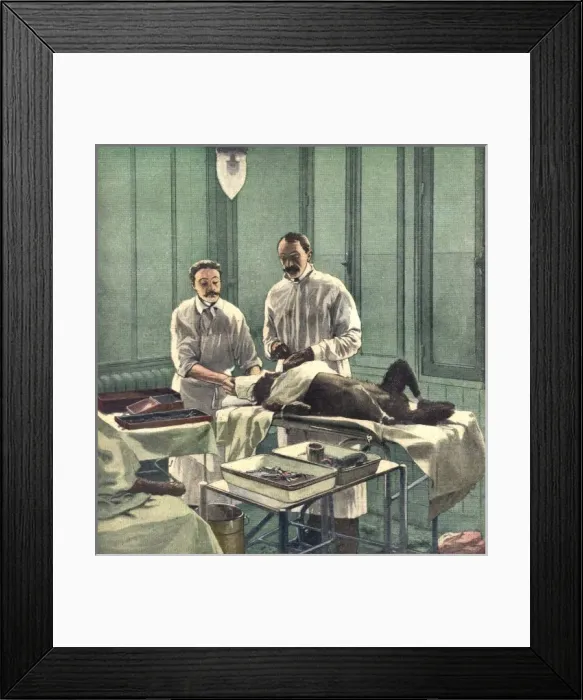 Framed Print : Voronof - Rejuvenation Framed Print : Voronof - Rejuvenation