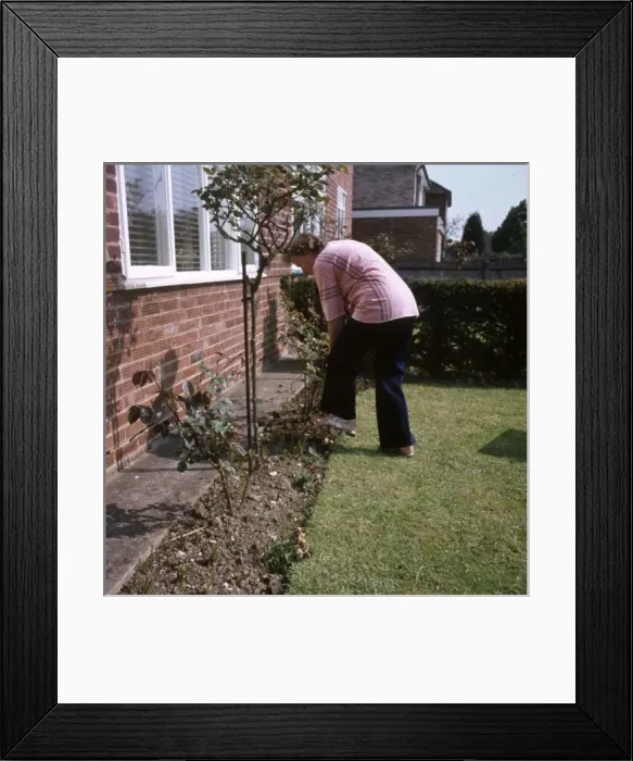Framed Print : Digging Garden 1970S