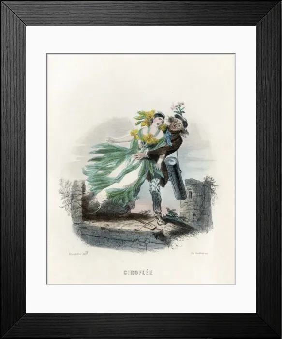 Framed Print : Grandville Wallflower Framed Print : Grandville Wallflower