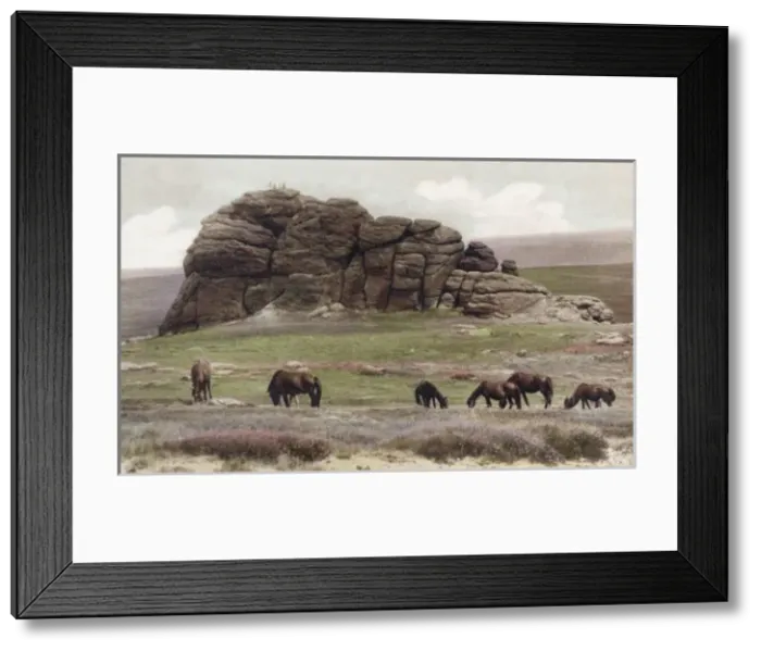 Framed Print : Picture No. 10094981 Framed Print : Picture No. 10094981