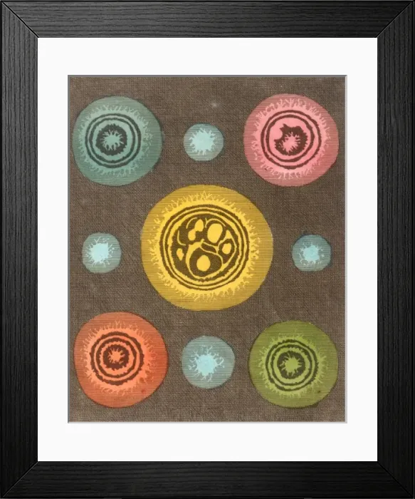 Framed Print : REV BENNETs STARS / 1794 Framed Print : REV BENNETs STARS / 1794