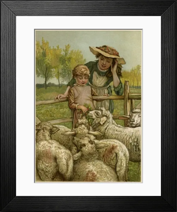 Framed Print : Social / Feeding Sheep 19C Framed Print : Social / Feeding Sheep 19C