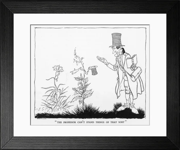 Framed Print : Little Idas Flowers Framed Print : Little Idas Flowers