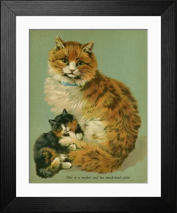 Framed Print : Cat and her Kitten Framed Print : Cat and her Kitten