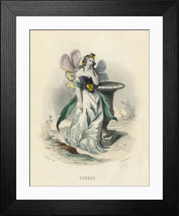 Framed Print : Grandville Pansy 1847 Framed Print : Grandville Pansy 1847