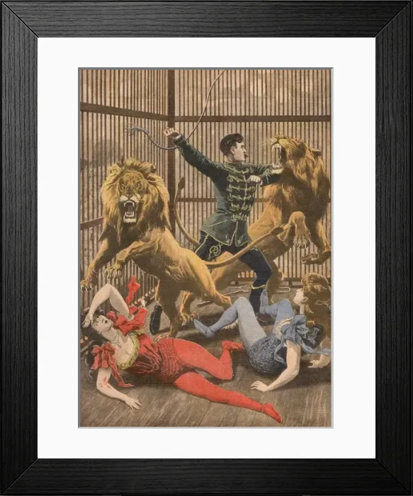 Framed Print : Acrobats Falls / Lion Cage Framed Print : Acrobats Falls / Lion Cage