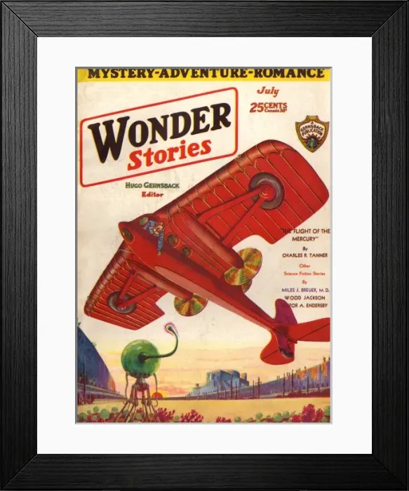 Framed Print : FLIGHT OF THE MERCURY Framed Print : FLIGHT OF THE MERCURY