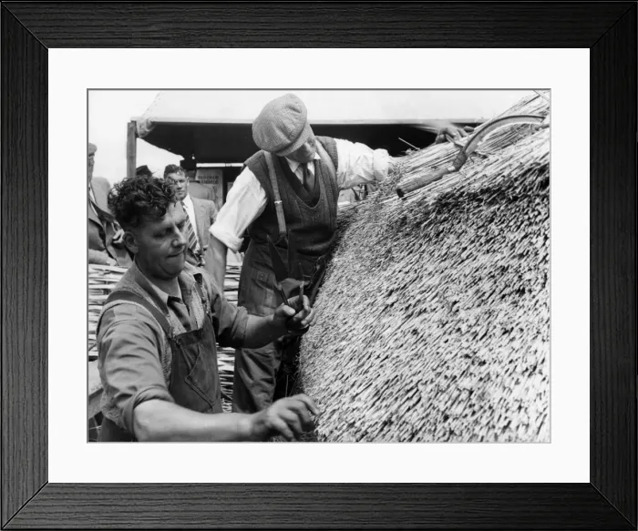 Framed Print : Thatching a Roof / 1950S Framed Print : Thatching a Roof / 1950S