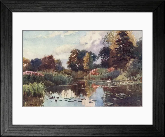 Framed Print : Cambridge / Botanic Gdns Framed Print : Cambridge / Botanic Gdns