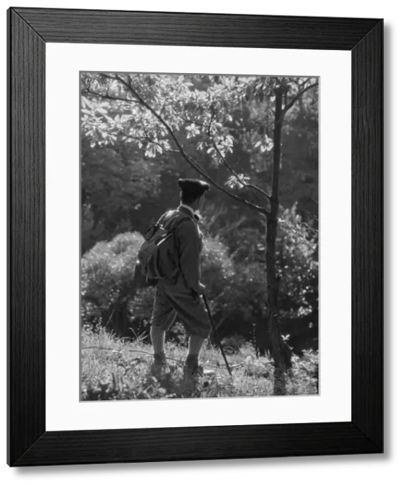 Framed Print : Dapper Rambling Fellow Framed Print : Dapper Rambling Fellow
