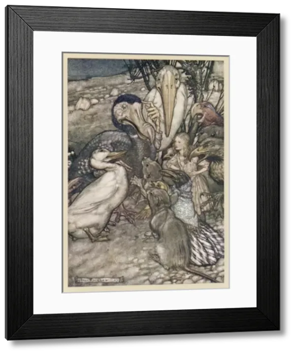 Framed Print : Alice & the Dodo Framed Print : Alice & the Dodo