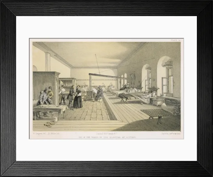 Framed Print : Nightingale / Simpson / Scut Framed Print : Nightingale / Simpson / Scut