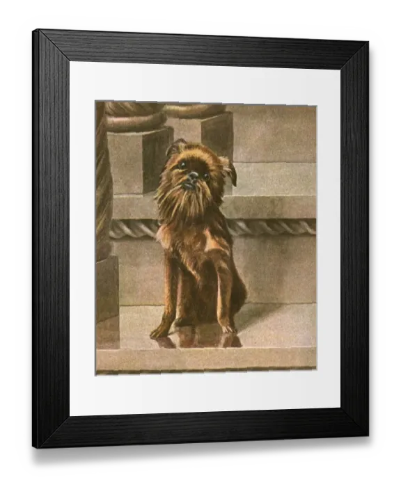Framed Print : Dog Sitting in Cityscape Framed Print : Dog Sitting in Cityscape
